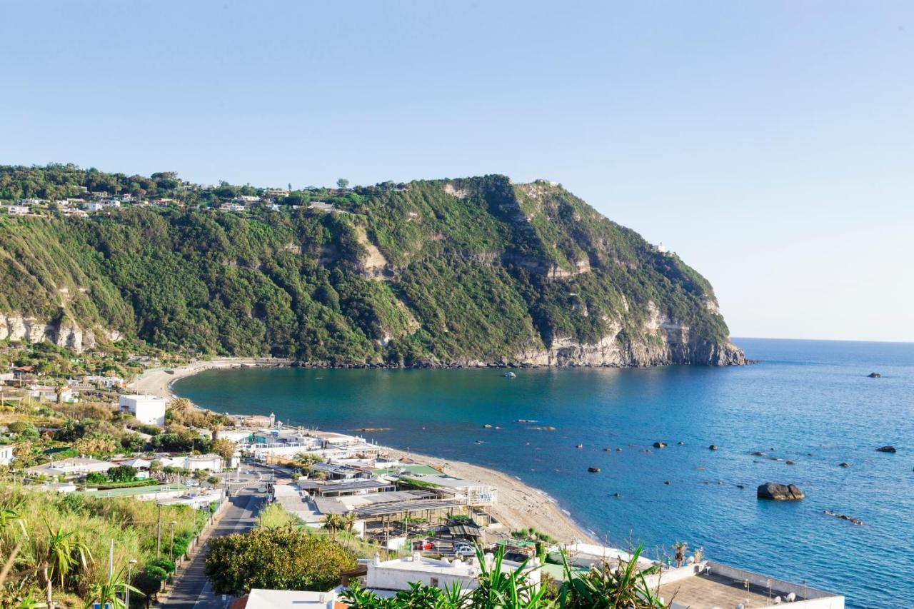 Bilocale Sul Lungomare Di Forio D'ischia - Serpico Sea & Apartment